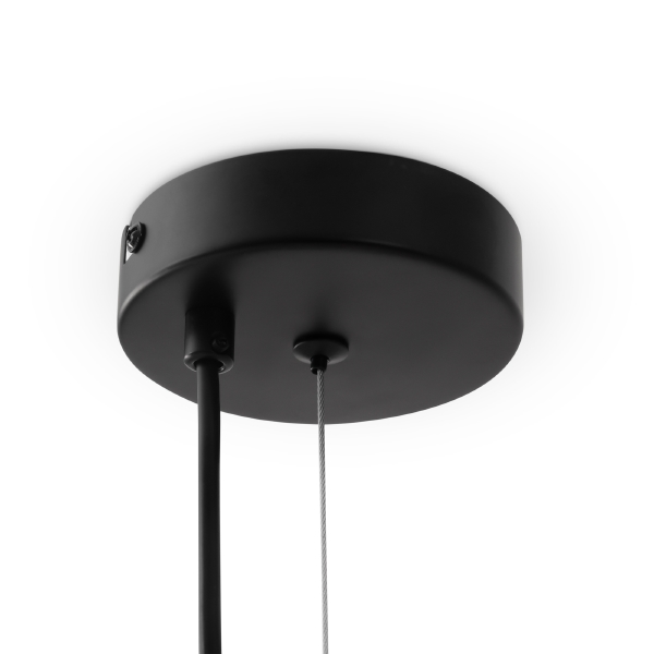 Светильник подвесной Evidence FR5372PL-05B