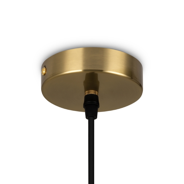 Светильник подвесной Pina FR5387PL-L14BS