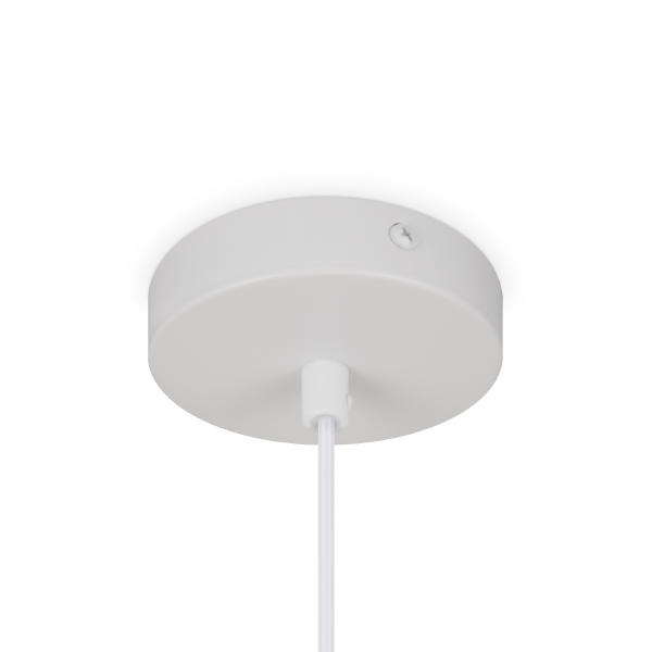 Светильник подвесной Moth FR5392PL-01W