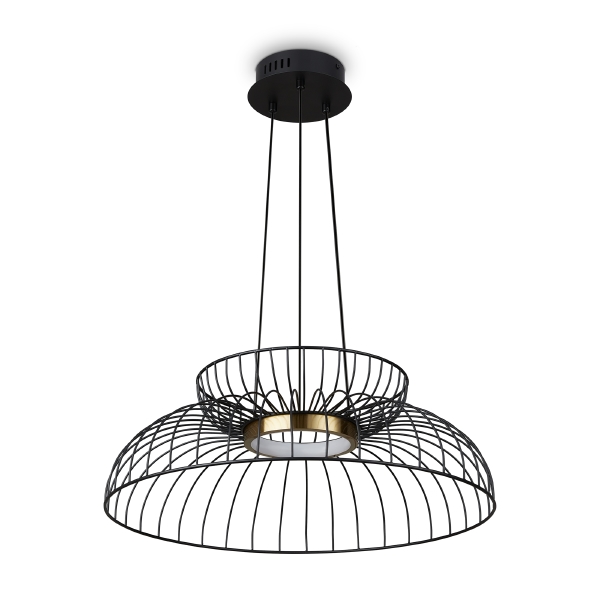 Светильник подвесной Citrus FR5398PL-L6B