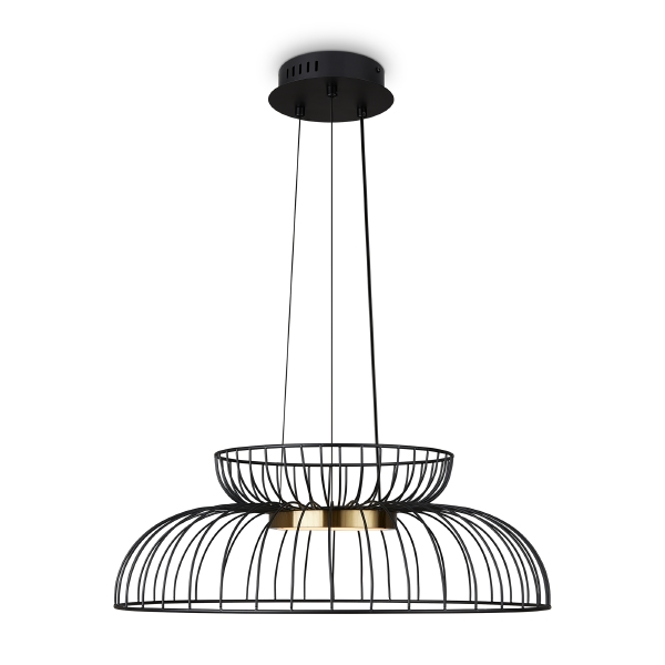 Светильник подвесной Citrus FR5398PL-L6B