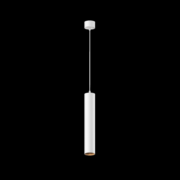 Светильник подвесной Pendant P072PL-L12W3K-1