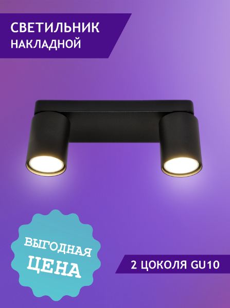 Светильник спот Elvan NLS-2410/2-G10-Bk