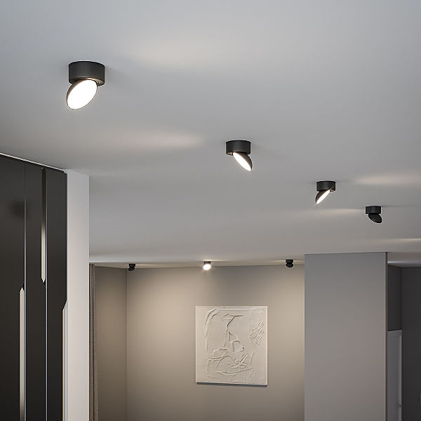Накладной светильник Smooth 25053/LED 10W 4000K черный