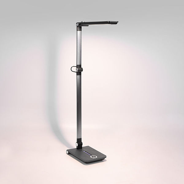 Настольная лампа Great Great графит (TL70240)