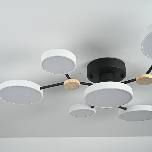 Потолочная люстра Gamma01 223761-23