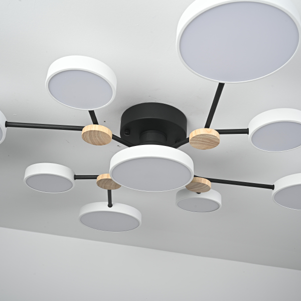 Потолочная люстра Gamma01 223762-23