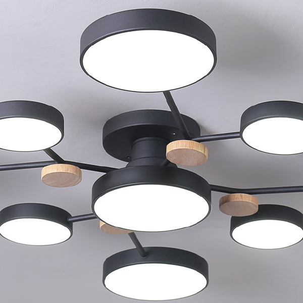 Потолочная люстра Gamma01 223762-23