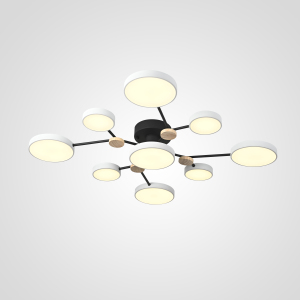 Потолочная люстра Gamma01 223762-23