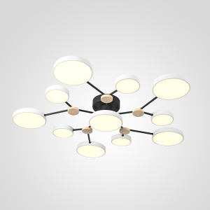 Потолочная люстра Gamma01 223764-23