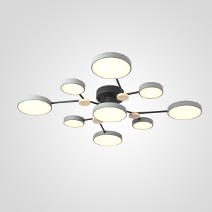 Потолочная люстра Gamma01 223766-23