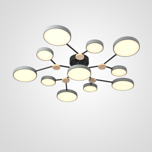 Потолочная люстра Gamma01 223767-23