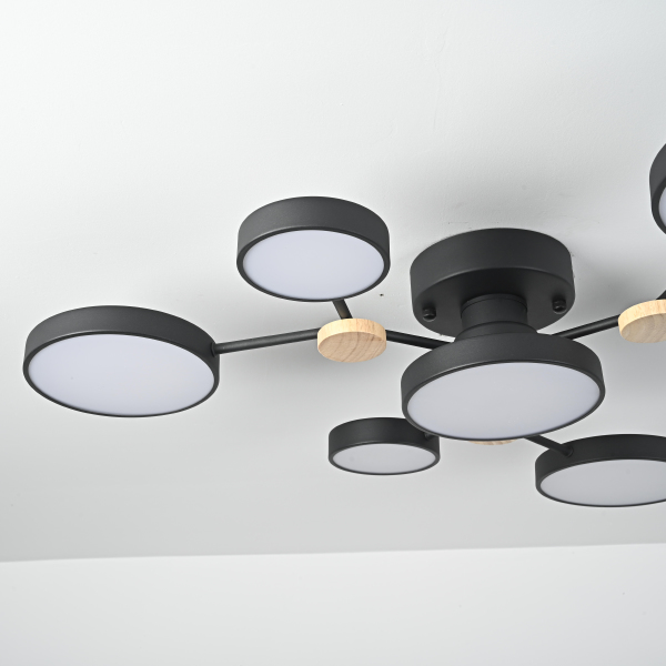 Потолочная люстра Gamma01 223768-23