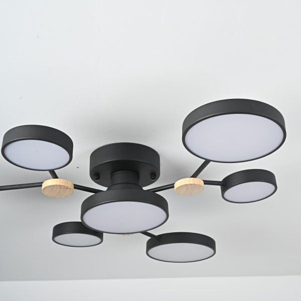 Потолочная люстра Gamma01 223768-23