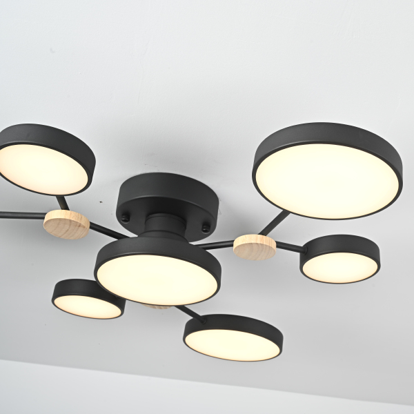 Потолочная люстра Gamma01 223768-23