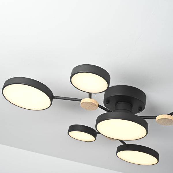 Потолочная люстра Gamma01 223768-23