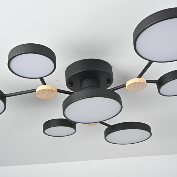 Потолочная люстра Gamma01 223768-23