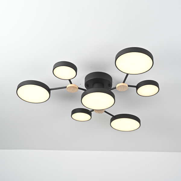 Потолочная люстра Gamma01 223768-23