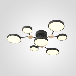 Потолочная люстра Gamma01 223768-23