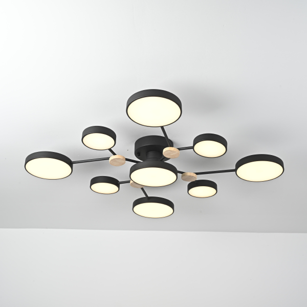 Потолочная люстра Gamma01 223769-23