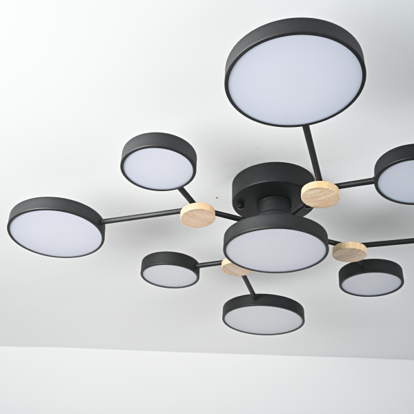 Потолочная люстра Gamma01 223769-23