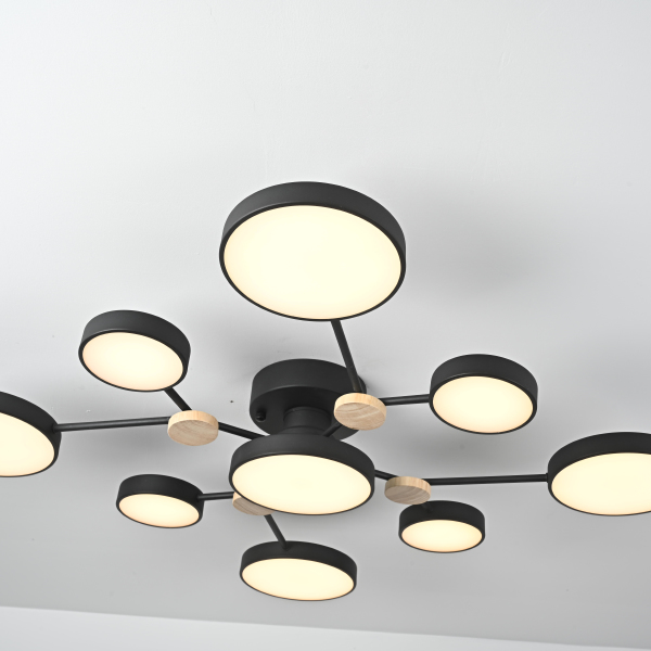 Потолочная люстра Gamma01 223769-23