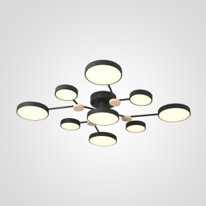 Потолочная люстра Gamma01 223769-23