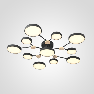 Потолочная люстра Gamma01 223770-23