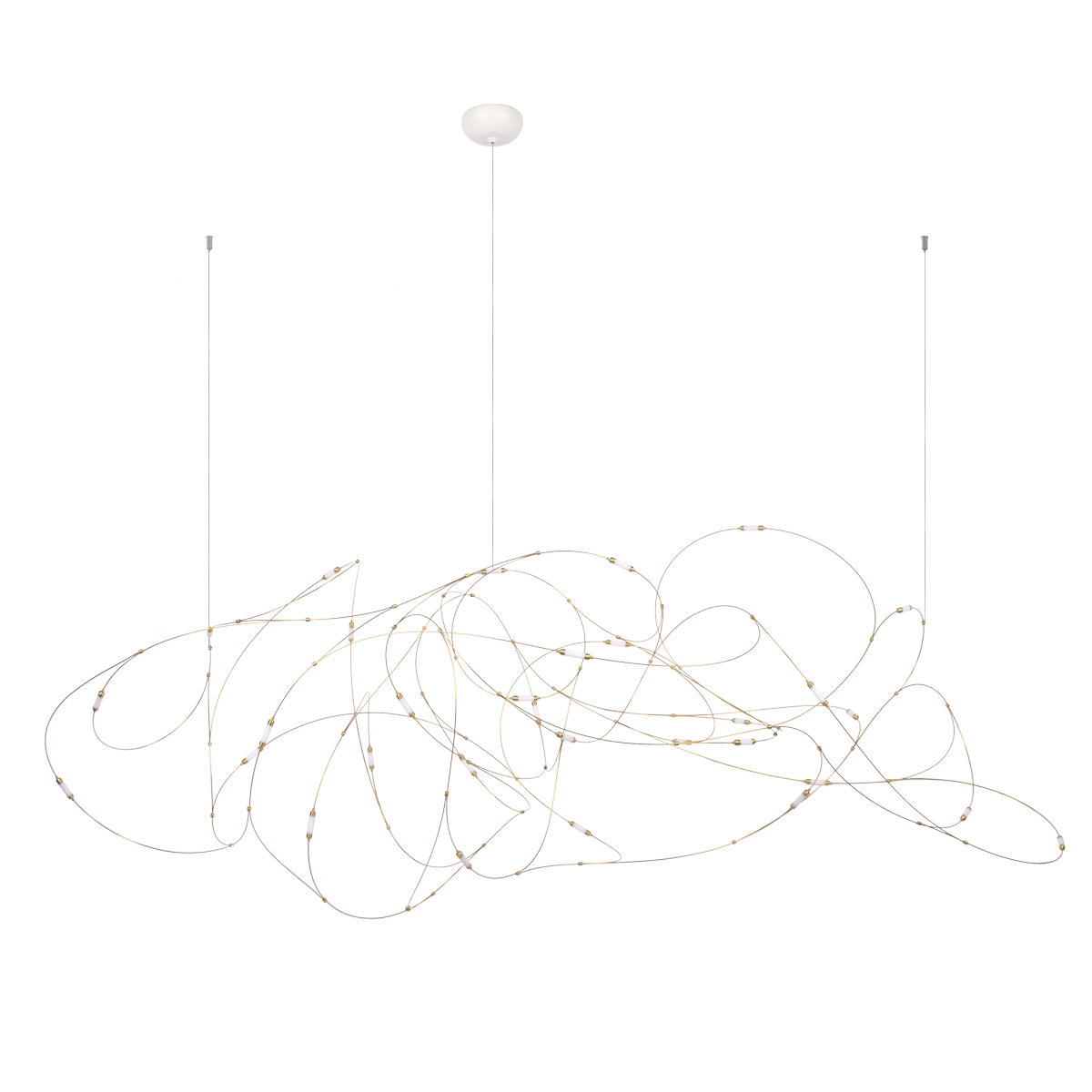 Flock of Light