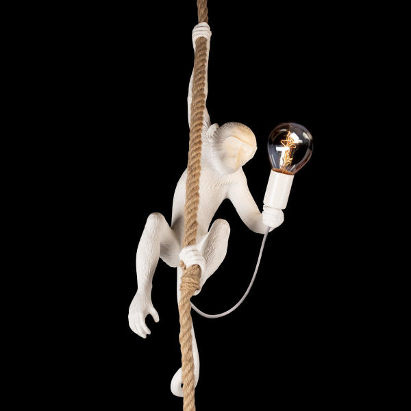 Светильник подвесной Monkey 10314P
