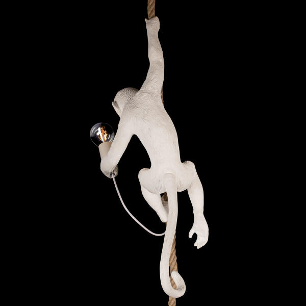Светильник подвесной Monkey 10314P