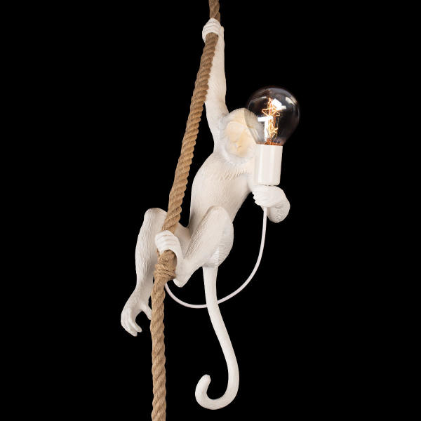 Светильник подвесной Monkey 10314P