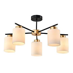 Потолочная люстра Troya MD.22436-5-S-BK+MGD