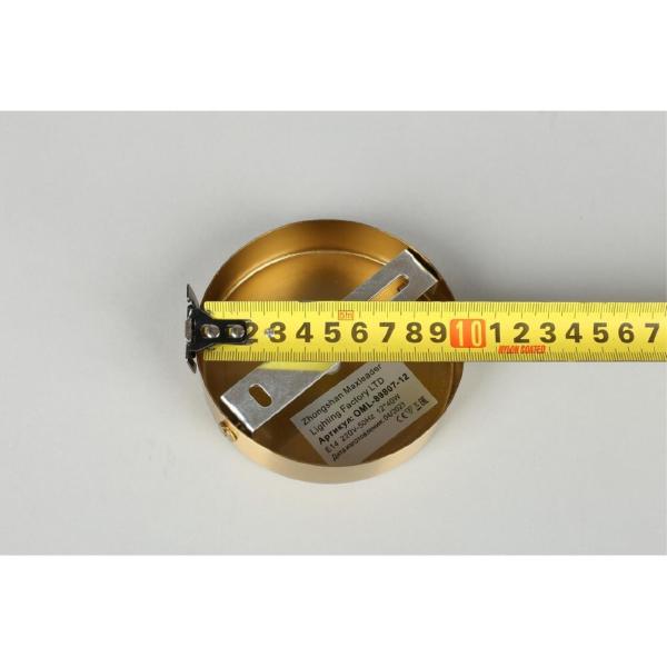 Потолочная люстра Prat OML-89807-12