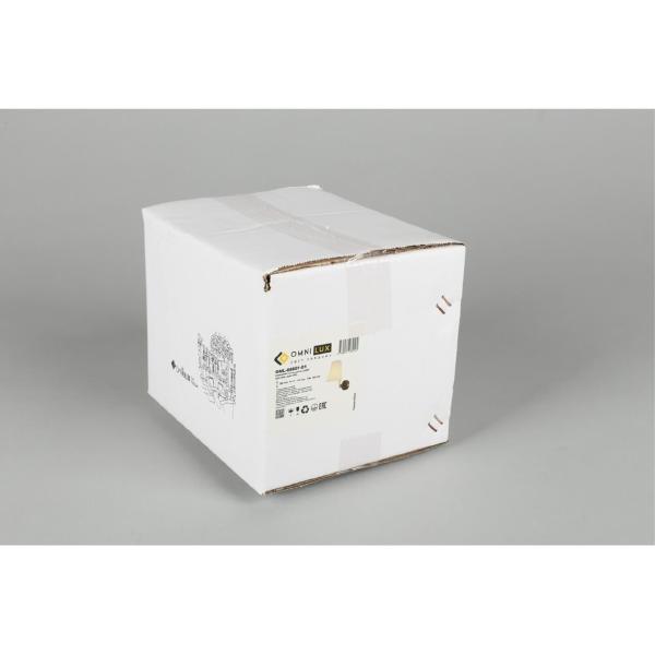 Настенное бра Camlez OML-68601-01