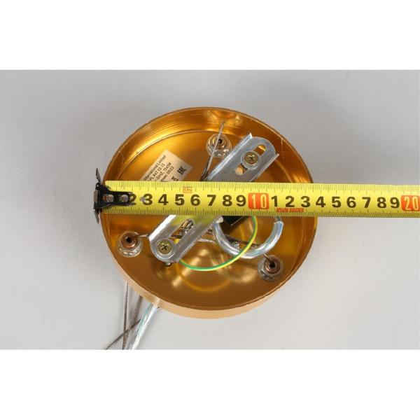 Подвесная люстра Gertunia APL.847.03.13