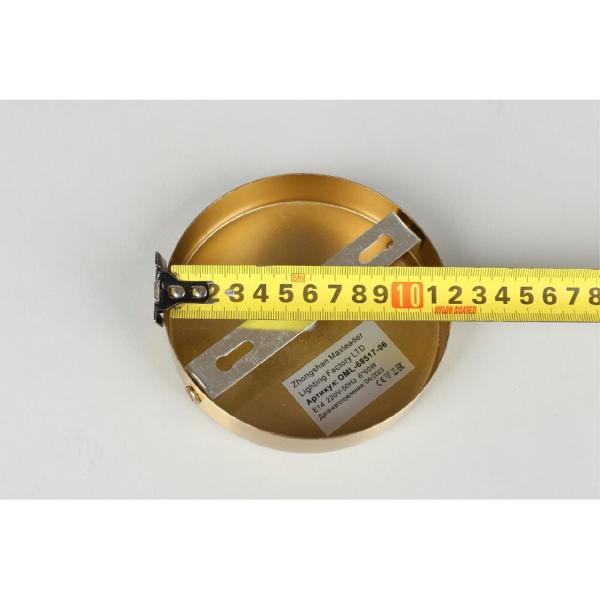 Потолочная люстра Panvenan OML-68517-06