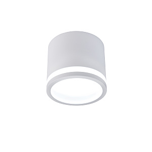 Накладной светильник Festum 4213-1C