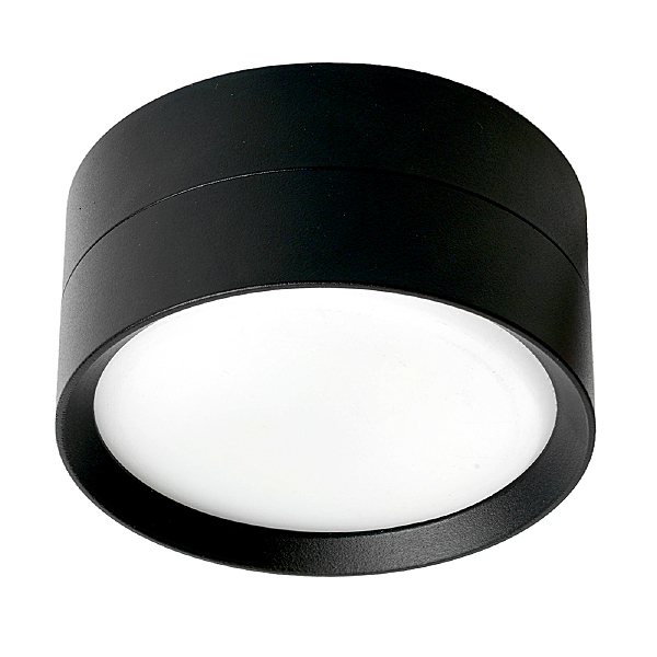 Накладной светильник HL357 48739