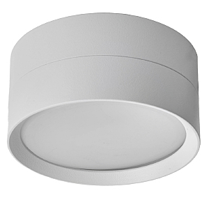 Накладной светильник HL357 48740