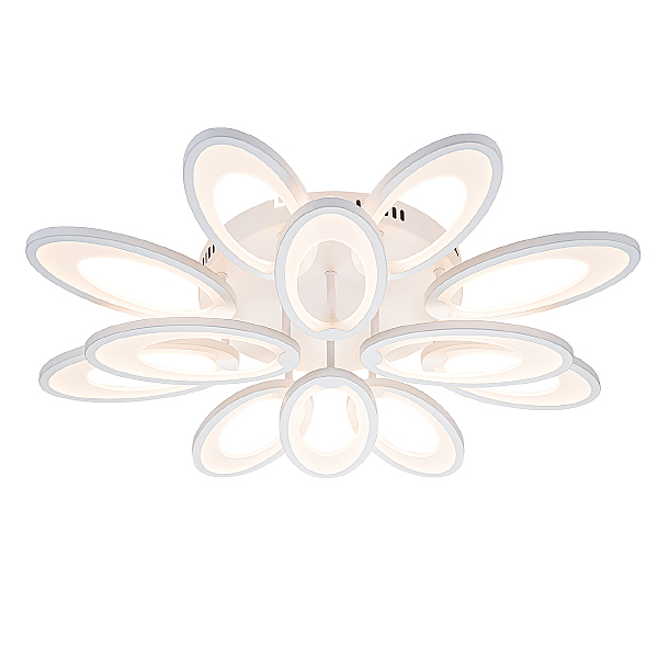 Потолочная люстра Ecla 10242/12LED