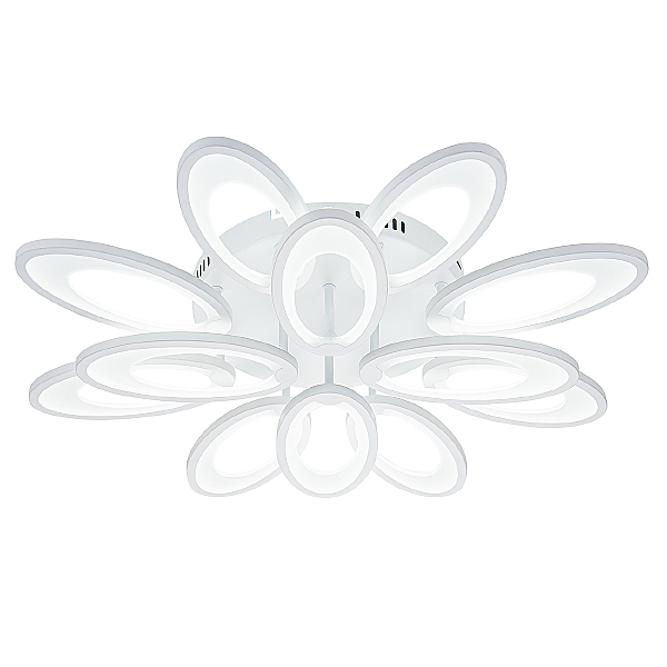 Потолочная люстра Ecla 10242/12LED