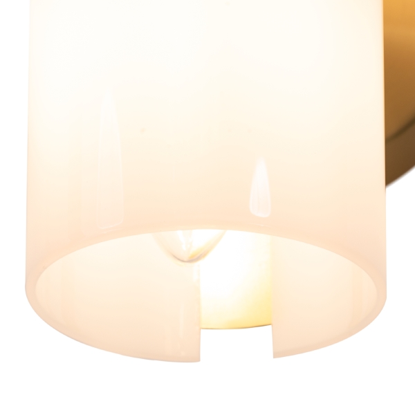 Настенное бра Fiore FR5368WL-02BS