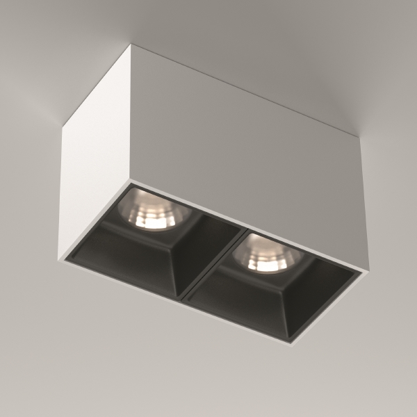 Накладной светильник Alfa LED C065CL-02-L12W4K-W