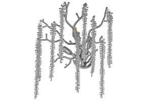 Настенное бра Tavenna Nickel Tavenna H 2.40.100 N