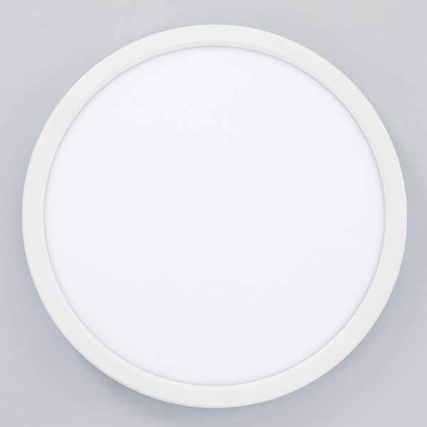 Светильник потолочный Basic Line CL738240VL