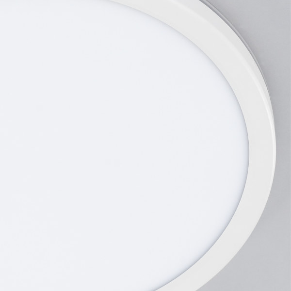 Светильник потолочный Basic Line CL738240VL