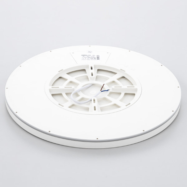 Светильник потолочный Basic Line CL738320EL