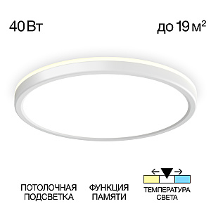 Светильник потолочный Basic Line CL738320VL