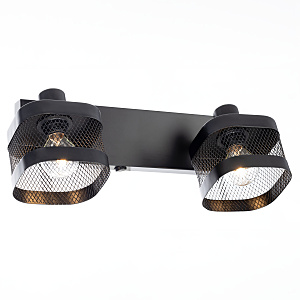 Светильник спот Хаген CL531525